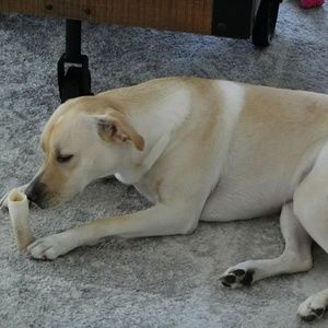 Meet your Posher, Jack